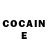 Cocaine Fish Scale Aleksey Ianin