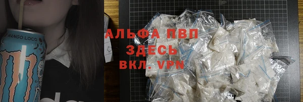стафф Новодвинск