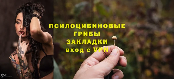 молекула духа Новокубанск