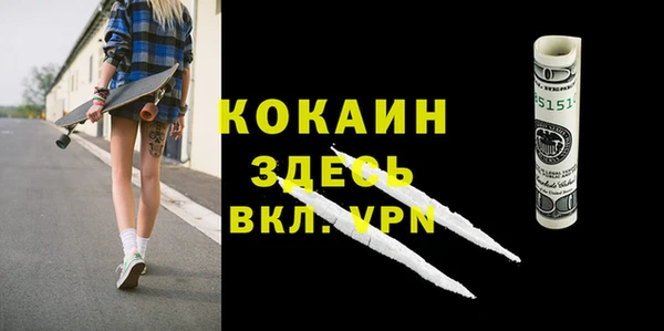 стафф Новодвинск