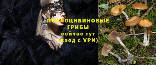 стафф Новодвинск