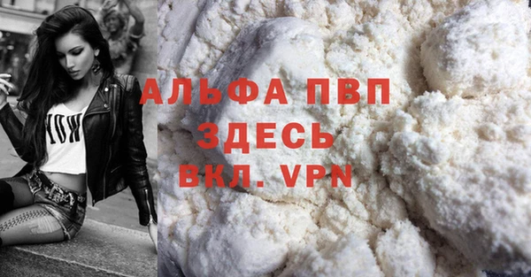 молекула духа Новокубанск