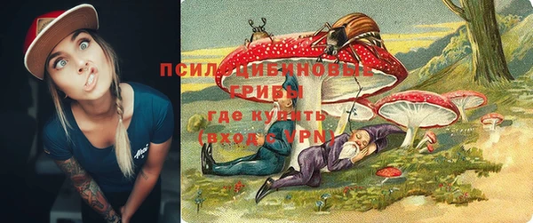 стафф Новодвинск
